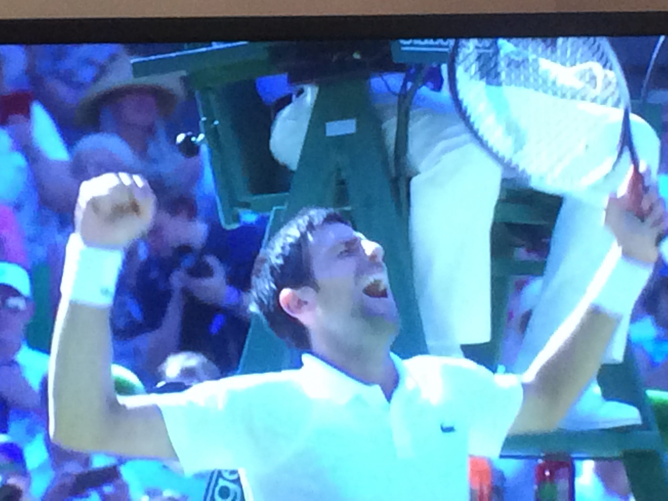 Djokovic winning Wimbledon 2018
